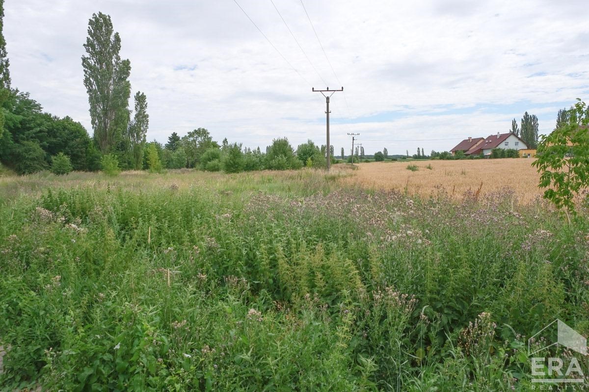 Pronájem zemědělského pozemku 1 500 m2, Nýřany, okres Plzeň – sever