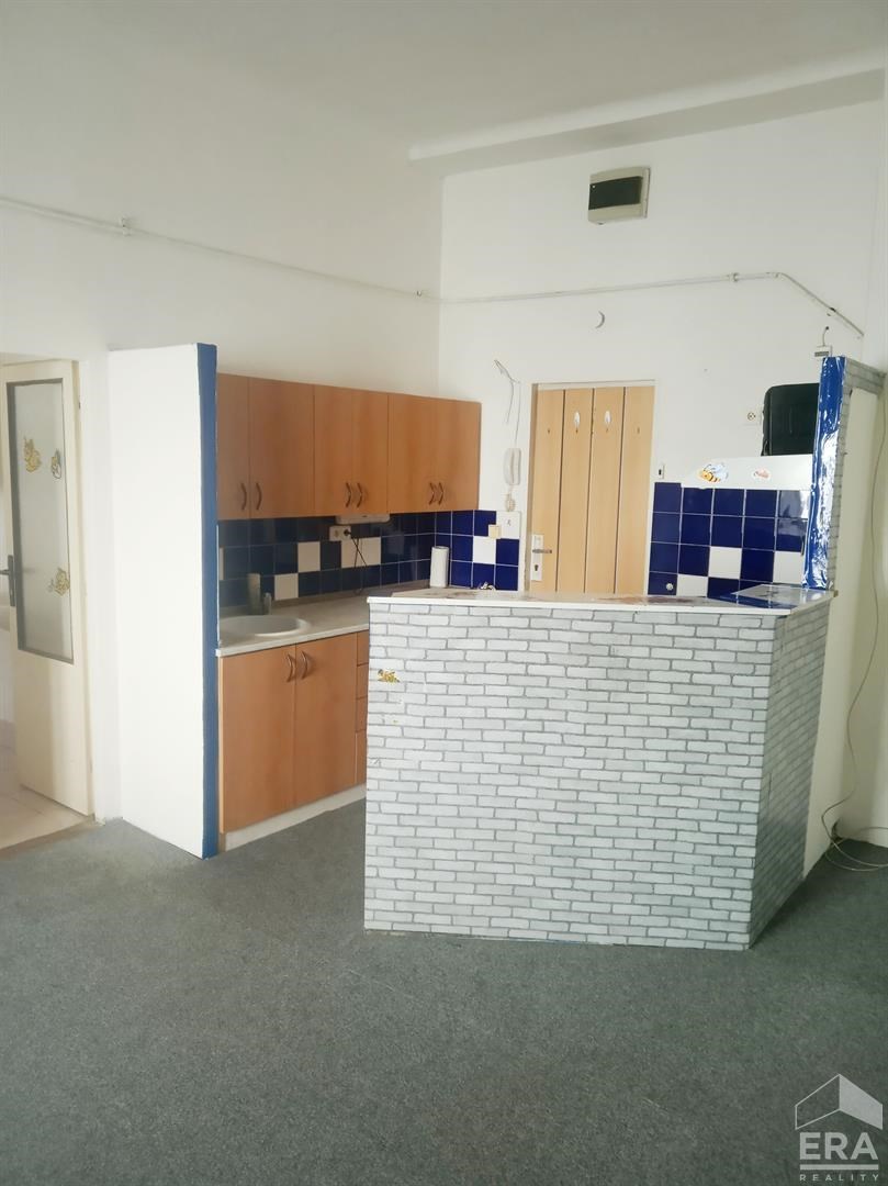 Nabízíme k pronájmu byt 1+kk o velikosti 30 m² (VOLNÝ IHNED!!)